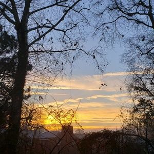 Meet your Posher, Lynnette